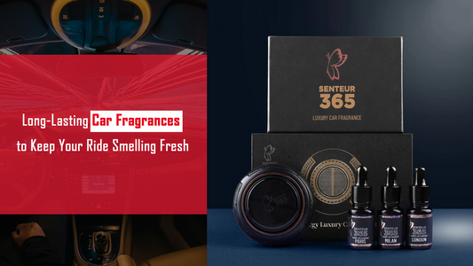 Long-Lasting Car Fragrances to Keep Your Ride Smelling Fresh